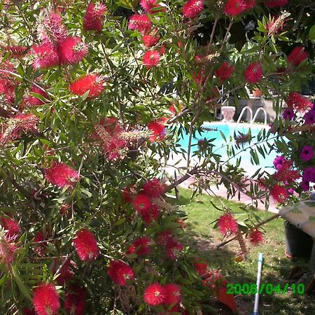 B&B Desenzano Desenzano del Garda Exteriér fotografie