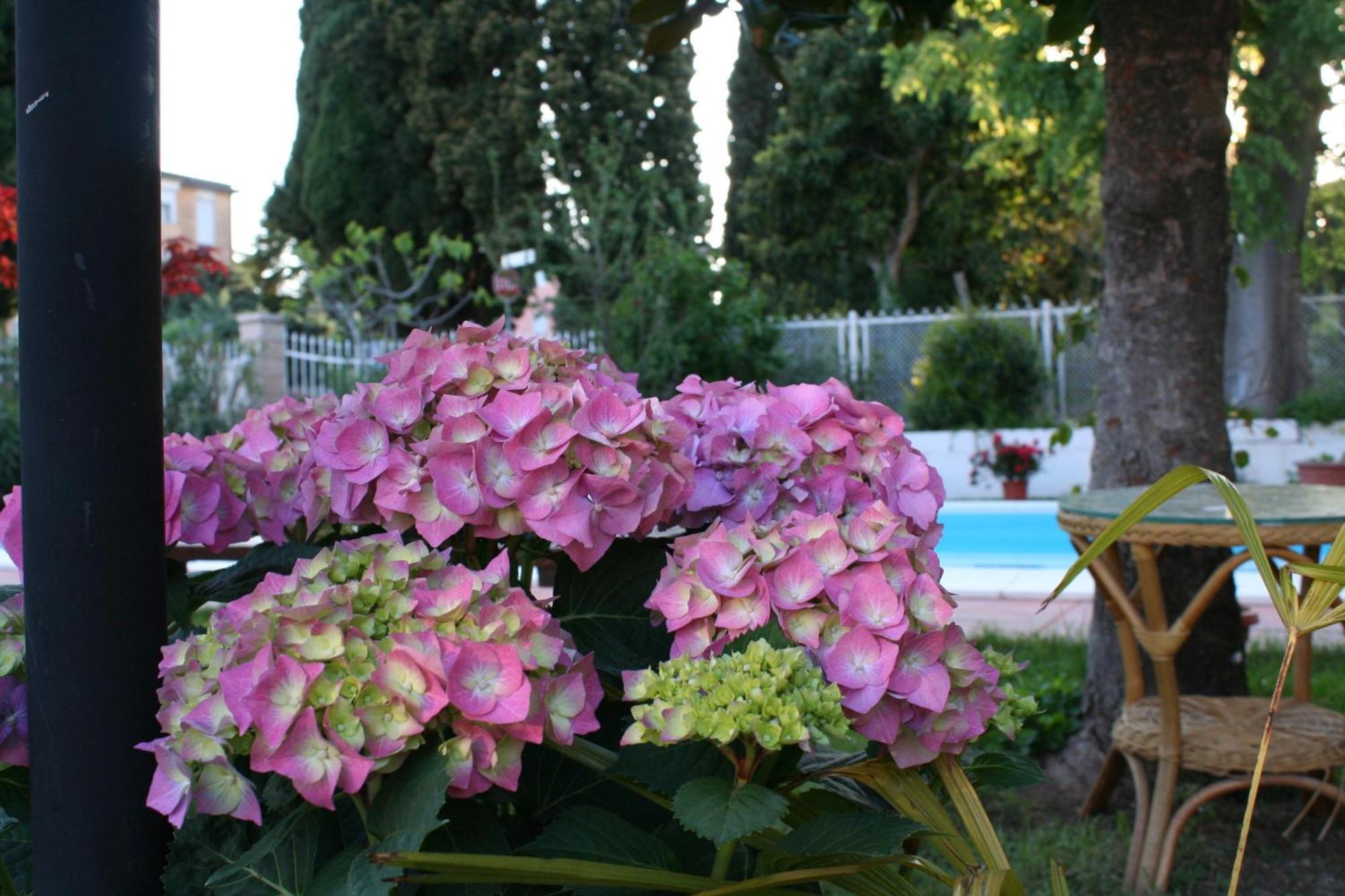B&B Desenzano Desenzano del Garda Exteriér fotografie