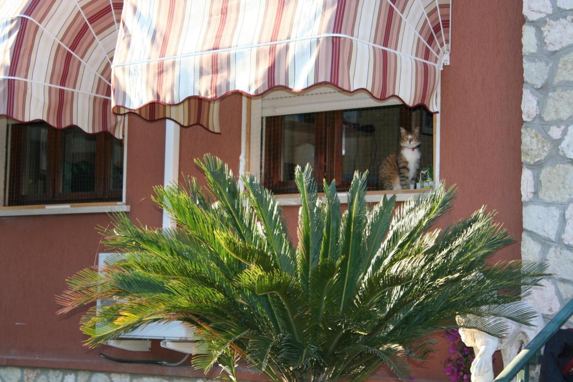 B&B Desenzano Desenzano del Garda Exteriér fotografie