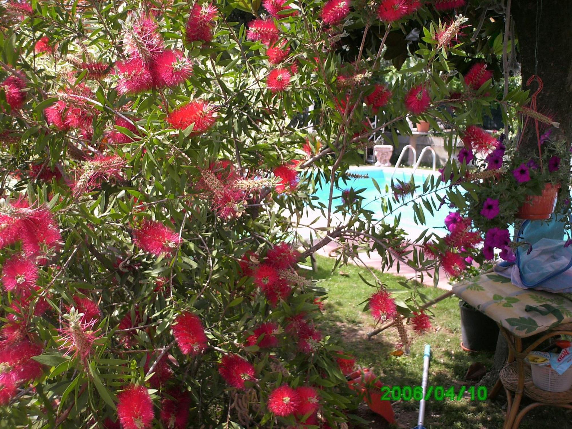 B&B Desenzano Desenzano del Garda Exteriér fotografie